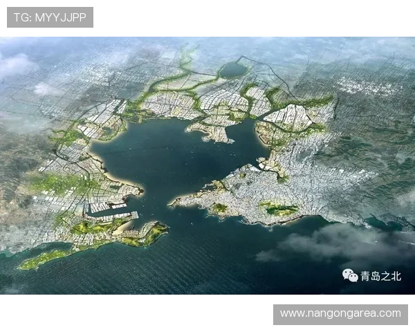 瓦伦西亚俱乐部重建进程提速新赛季阵容调整与未来规划引发关注