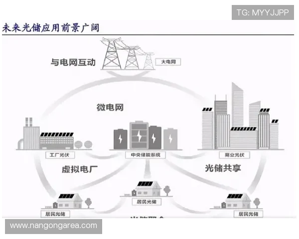 围绕巴黎FC俱乐部发展历程与未来战略布局的深度解析与展望