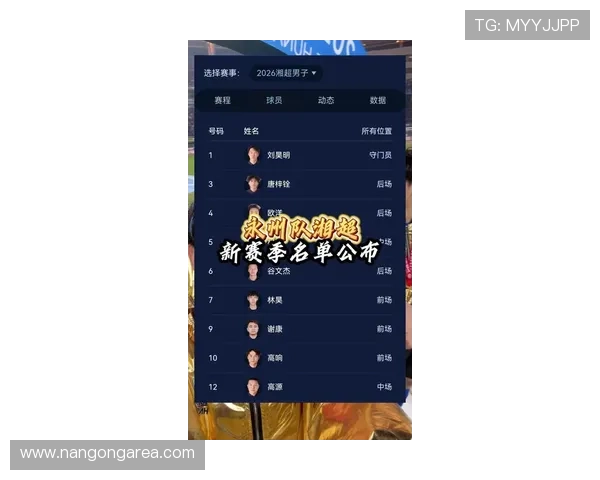 湘超联赛最新排名解析及各队表现趋势深度分析 湘超联赛最新排名解析及各队表现趋势深度分析