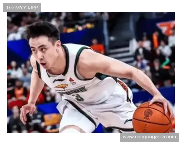 辽宁男篮复盘赵继伟季后赛助攻失误比波动透视后场组织效率与争冠走势